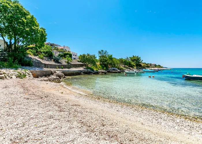 Franka روغوزنيكا